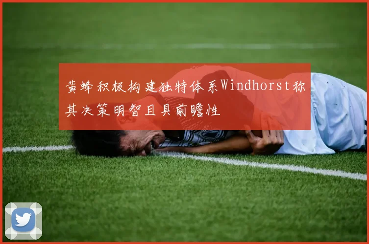 黄蜂积极构建独特体系Windhorst称其决策明智且具前瞻性