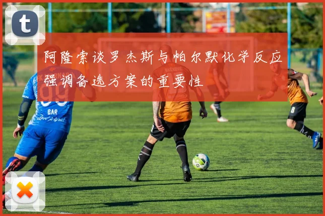 阿隆索谈罗杰斯与帕尔默化学反应强调备选方案的重要性